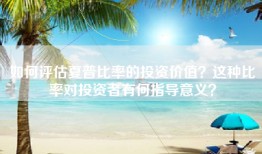 如何评估夏普比率的投资价值？这种比率对投资者有何指导意义？