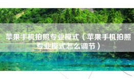 苹果手机拍照专业模式（苹果手机拍照专业模式怎么调节）