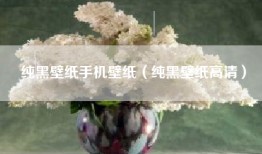 纯黑壁纸手机壁纸（纯黑壁纸高清）