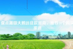 盘点莆田大鹅远征款微商，推荐10个购买渠道