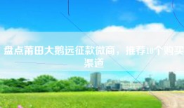 盘点莆田大鹅远征款微商，推荐10个购买渠道