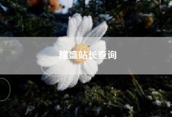 豫盛站长查询