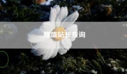 豫盛站长查询