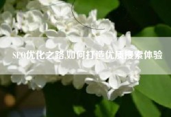 SEO优化之路,如何打造优质搜索体验