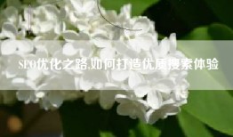 SEO优化之路,如何打造优质搜索体验