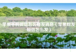 苹果手机微信怎么群发消息（苹果群发短信怎么发）