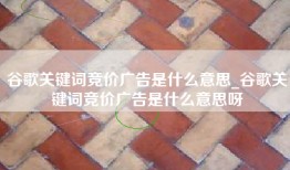 谷歌关键词竞价广告是什么意思_谷歌关键词竞价广告是什么意思呀