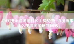 百度搜关键词用什么工具免费_百度搜索什么关键词能搜到网站