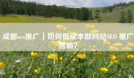 成都seo推广｜如何低成本做网站SEO 推广营销？