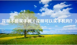 花呗不能买手机（花呗可以买手机吗？）
