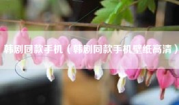 韩剧同款手机（韩剧同款手机壁纸高清）