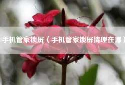 手机管家锁屏（手机管家锁屏清理在哪）