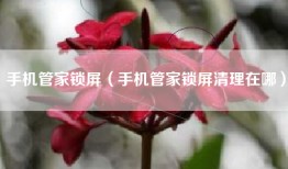 手机管家锁屏（手机管家锁屏清理在哪）