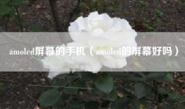 amoled屏幕的手机（amoled的屏幕好吗）