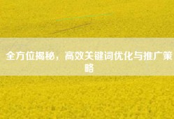 全方位揭秘，高效关键词优化与推广策略