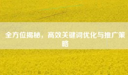 全方位揭秘，高效关键词优化与推广策略