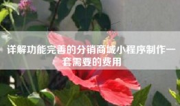 详解功能完善的分销商城小程序制作一套需要的费用