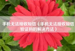 手机无法接收短信（手机无法接收短信验证码的解决方法）