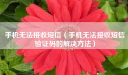 手机无法接收短信（手机无法接收短信验证码的解决方法）