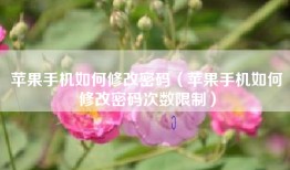 苹果手机如何修改密码（苹果手机如何修改密码次数限制）