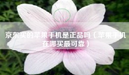 京东买的苹果手机是正品吗（苹果手机在哪买最可靠）