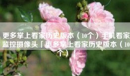 更多掌上看家历史版本（10个）手机看家监控摄像头「更多掌上看家历史版本（10个）」