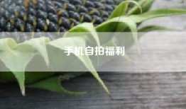 手机自拍福利