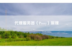 代理服务器（Proxy）原理