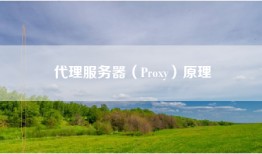 代理服务器（Proxy）原理