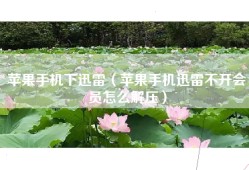 苹果手机下迅雷（苹果手机迅雷不开会员怎么解压）