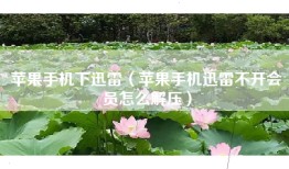 苹果手机下迅雷（苹果手机迅雷不开会员怎么解压）