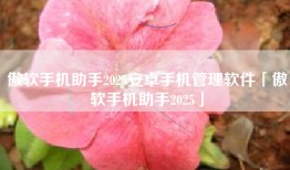 傲软手机助手2025安卓手机管理软件「傲软手机助手2025」