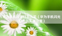 华为手机闪光灯怎么关（华为手机闪光灯怎么关闭设置）