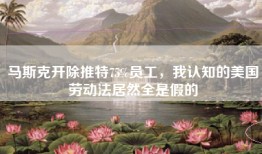 马斯克开除推特75%员工，我认知的美国劳动法居然全是假的