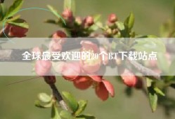 全球最受欢迎的20个BT下载站点