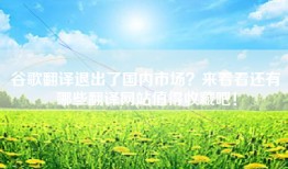 谷歌翻译退出了国内市场？来看看还有哪些翻译网站值得收藏吧！