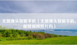 无摄像头智能手机（无摄像头智能手机、能放视频照片吗）