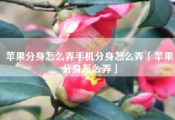 苹果分身怎么弄手机分身怎么弄「苹果分身怎么弄」