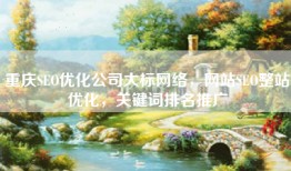 重庆SEO优化公司大标网络，网站SEO整站优化，关键词排名推广