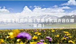 苹果手机调声音（苹果手机调声音在哪里调）