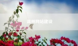 温州网站建设