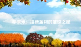 哆来米：拉新盈利的璀璨之星
