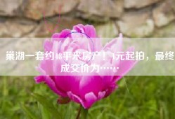 巢湖一套约48平米房产！1元起拍，最终成交价为……