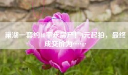 巢湖一套约48平米房产！1元起拍，最终成交价为……