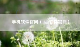手机软件官网（chat软件官网）