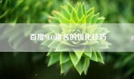 百度SEO排名的优化技巧