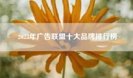 2023年广告联盟十大品牌排行榜