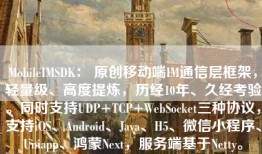 MobileIMSDK： 原创移动端IM通信层框架，轻量级、高度提炼，历经10年、久经考验。同时支持UDP+TCP+WebSocket三种协议，支持iOS、Android、Java、H5、微信小程序、Uniapp、鸿蒙Next，服务端基于Netty。