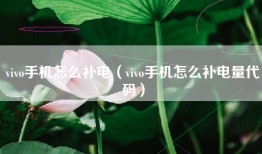 vivo手机怎么补电（vivo手机怎么补电量代码）