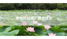 漳州网站推广排名优化
